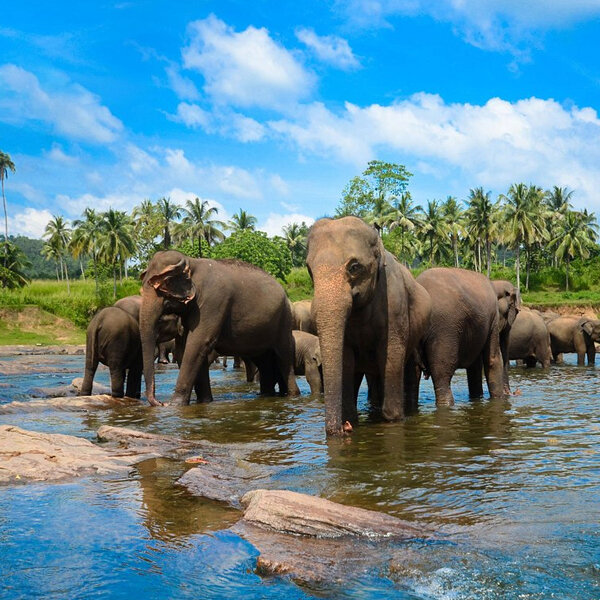 Discover Sri Lanka.jpg